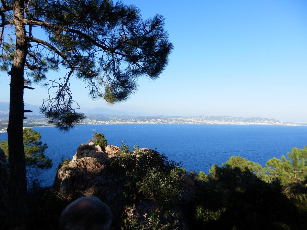 Esterel Terrasses, Roof Top, Plage, Parking Payant Cannes Ngoại thất bức ảnh
